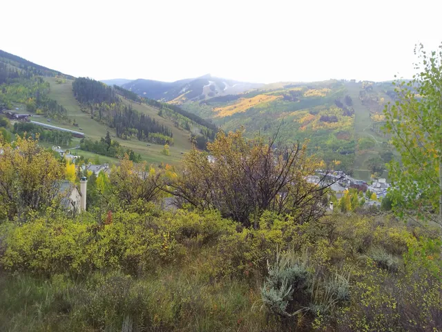 Beaver Creek Stables