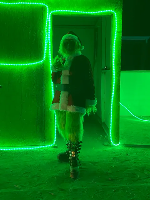 Winter Wonderland NM