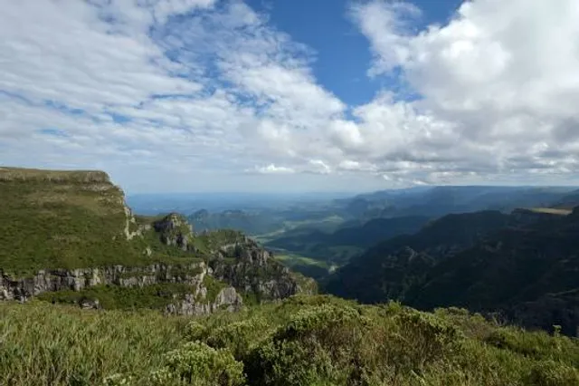 photo-3