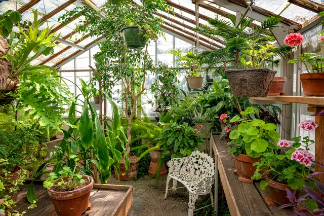 Friends of Bush Gardens