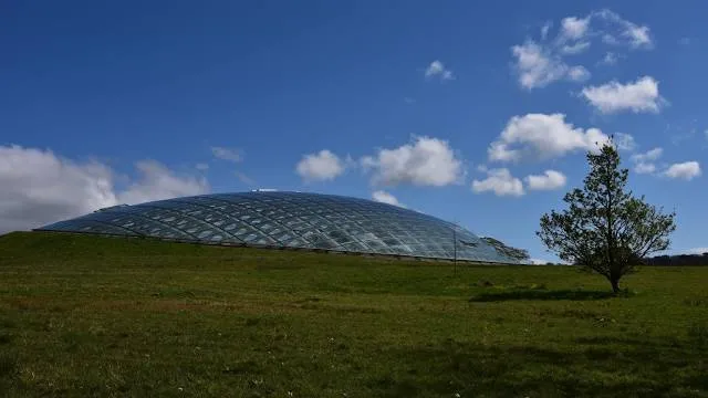 photo-3