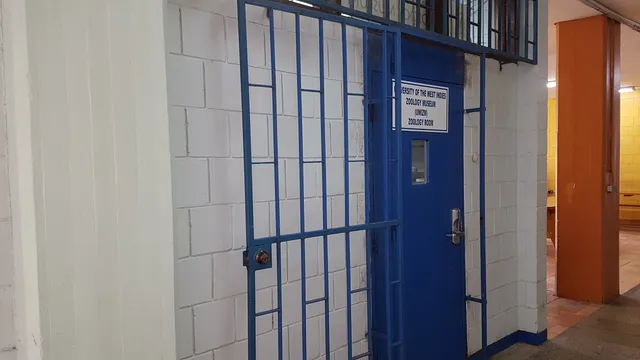 The University of the West Indies Zoology Museum