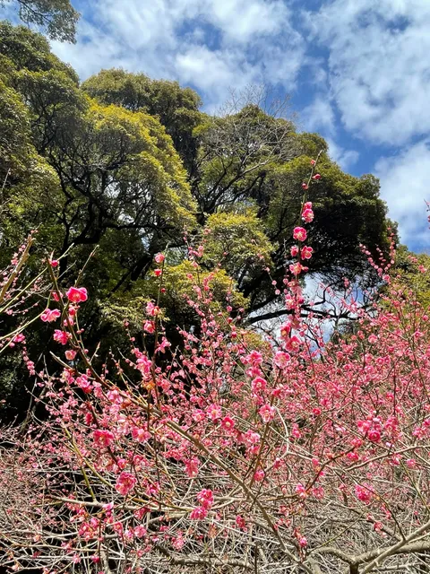 photo-1