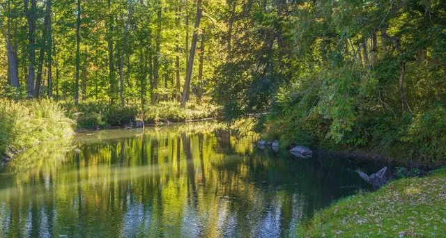 Glimmerglass State Park