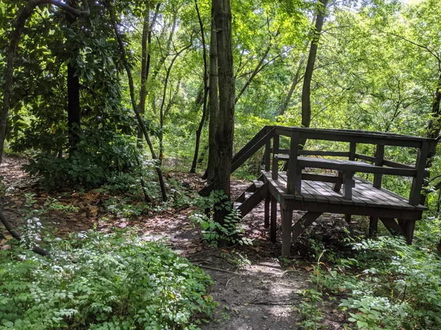 Weyanoke Bird and Wildflower Sanctuary