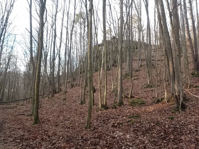 Rezerwat przyrody Wąwóz Lipa