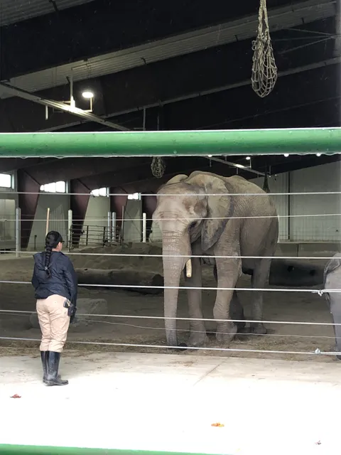 International Conservation Center