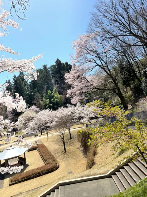 Ogimachi Park