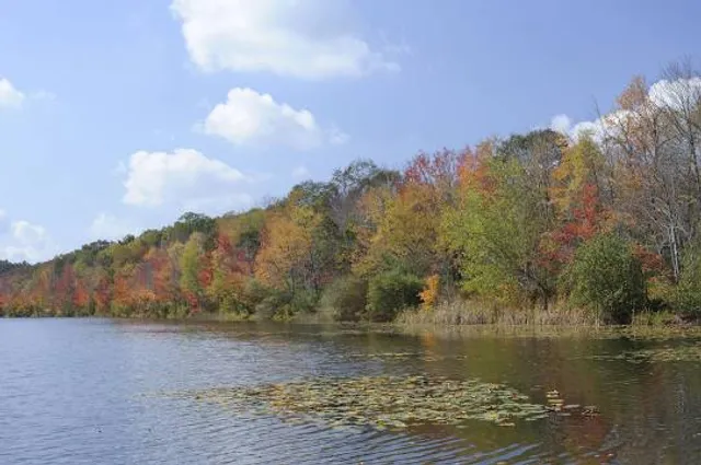 Nescopeck State Park