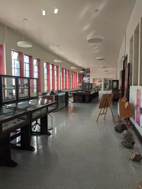 Geosciences Mineralogy Museum