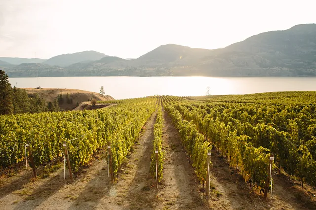 Painted Rock Estate Winery