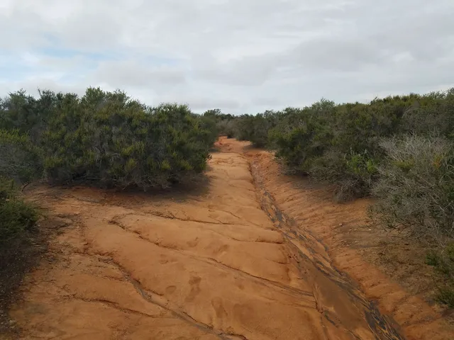Carmel Mountain Preserve