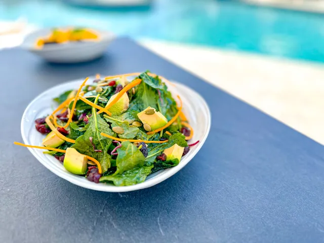 The Pool House at Pelham House Resort