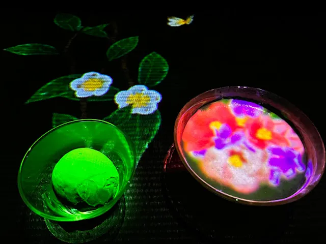 EN TEA HOUSE 幻花亭D rec