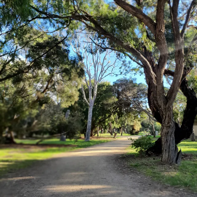 Tom Salt Memorial Park Playground