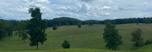 Southern Oak Lavender Farm