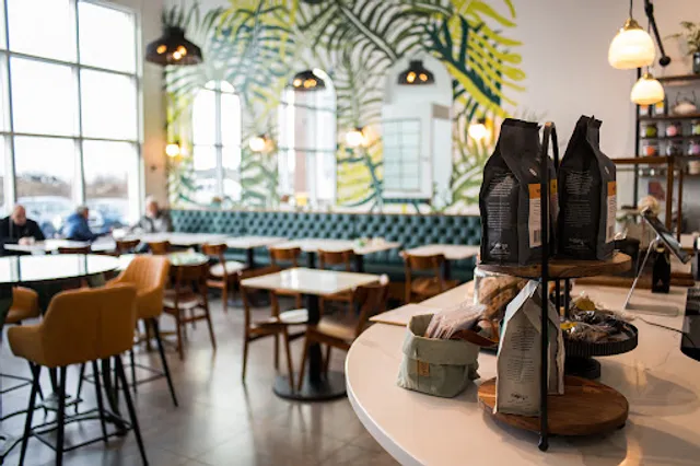 Juniper Cafe | Terra Verde