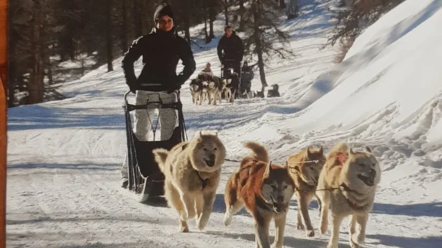Chiens de traineaux, Vars, Hautes Alpes - Mush And Co