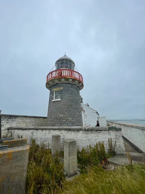 Tralee Bay Experience Fenit