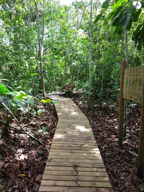 Sendero Ecologico Guasimo