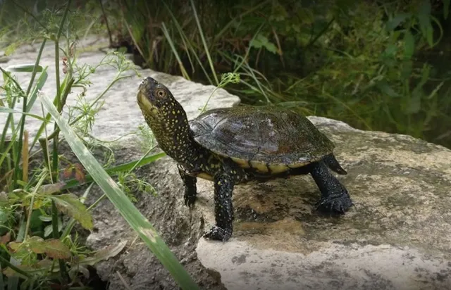 Écomusée vivant de Provence