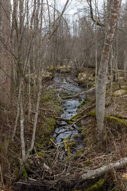 Frostbrunnsdalens Naturreservat