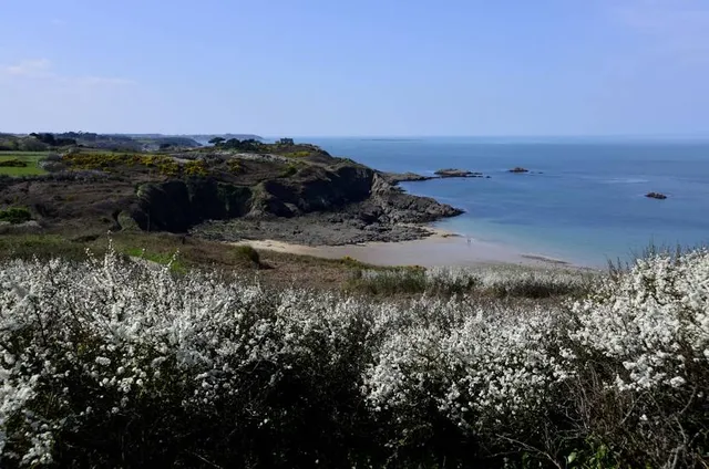 Plage du Saussaye