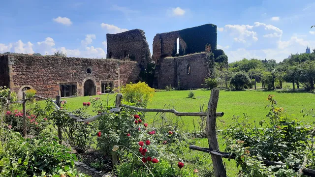 Klosterruine Heilig Kreuz