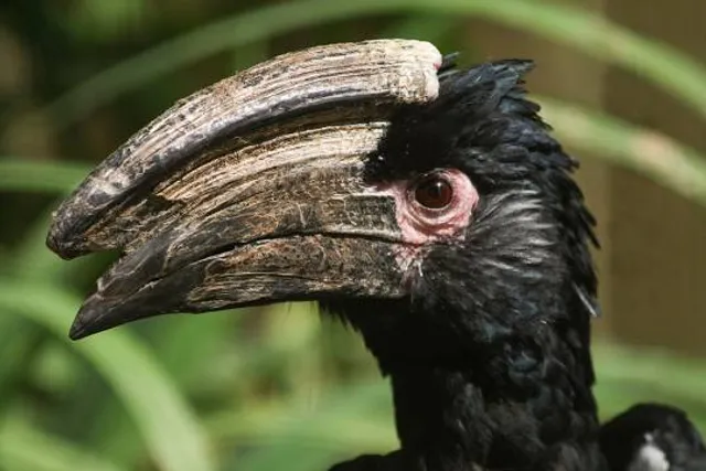 Birdland Park & Gardens