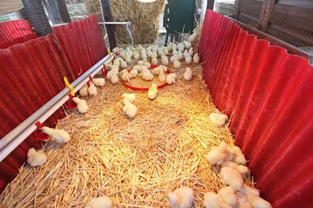 Museum of the Broads