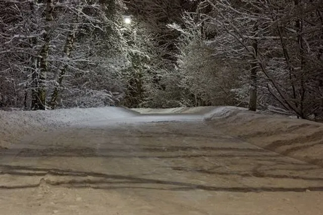 Kuzminki Forest Park