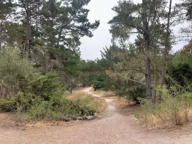 S F B Morse Botanical Reserve