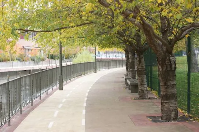 photo-1