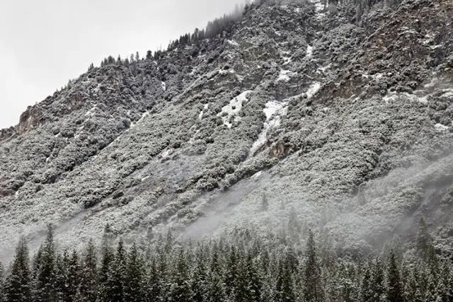 Belvedere Vf Tarnita Toplita