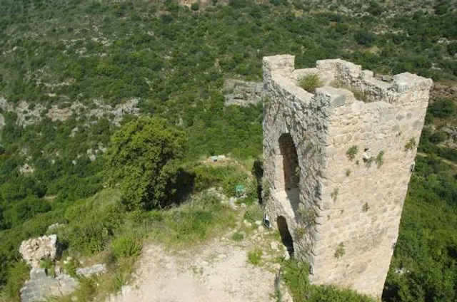 Burgruine Neu-Montfort