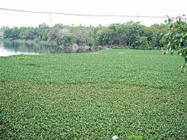 KR Puram Lake