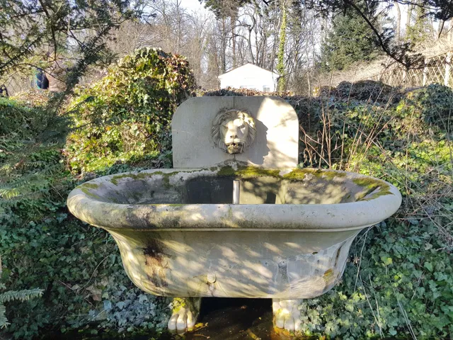 photo-1