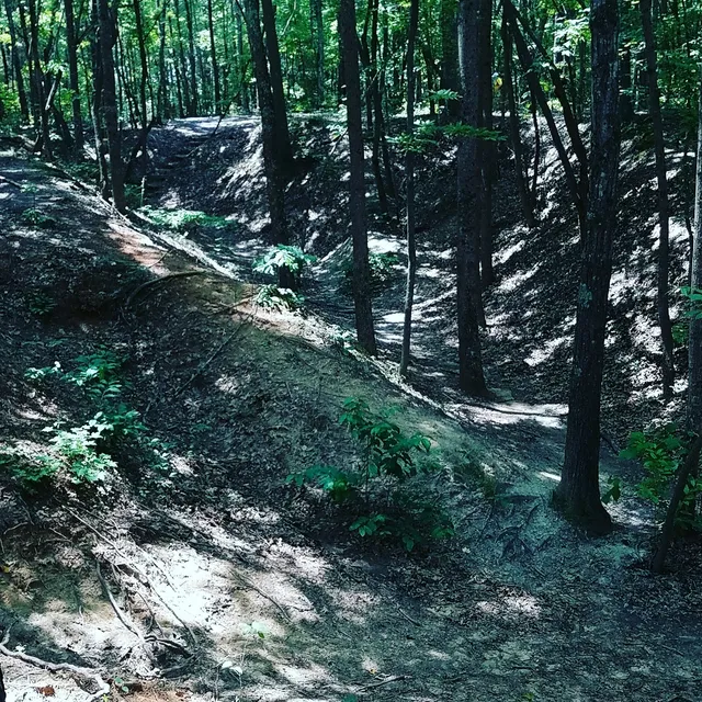 Bradley Community Center