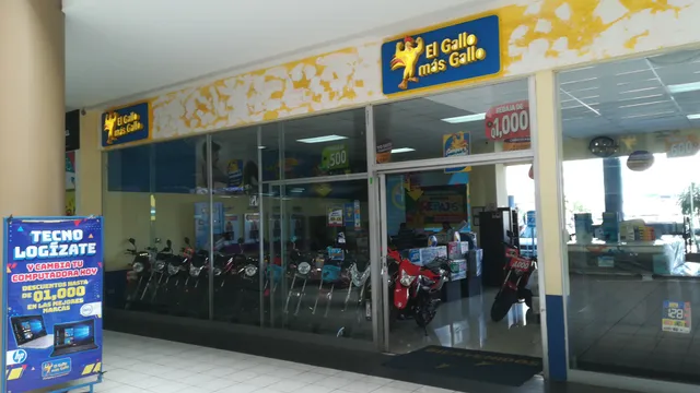 El Gallo más Gallo • Pacific Villa Hermosa