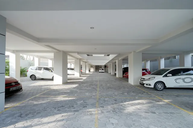 D'Paragon Manduro Solo