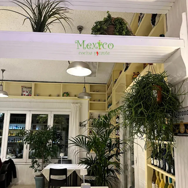 Mexico Cocina Picante