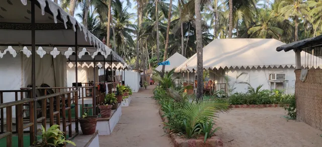 OYO 24193 Tide Exotic