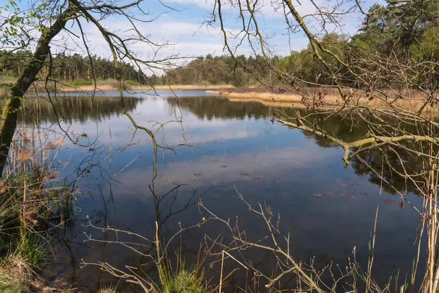 Nationaal Park de Meinweg