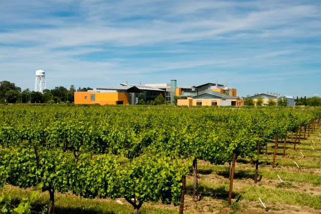 Robert Mondavi Institute for Wine and Food Science