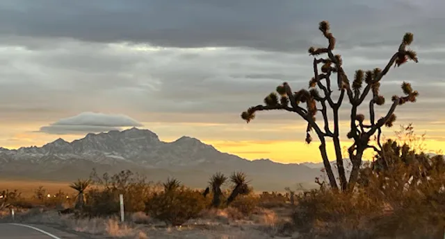 Mojave Desert
