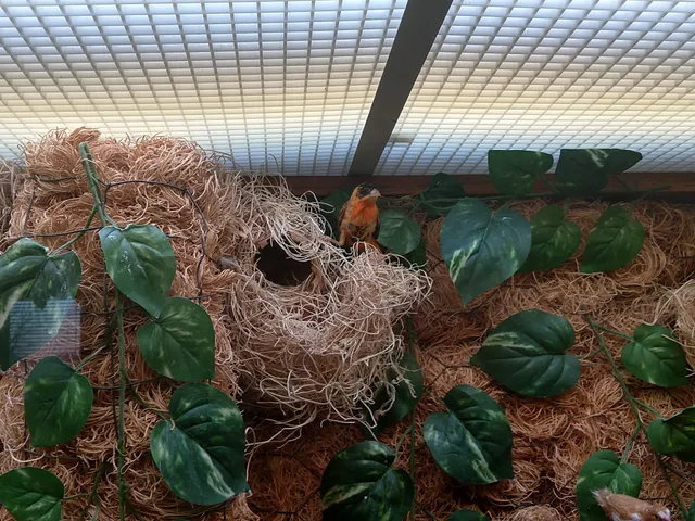 Battle Creek Community Pride