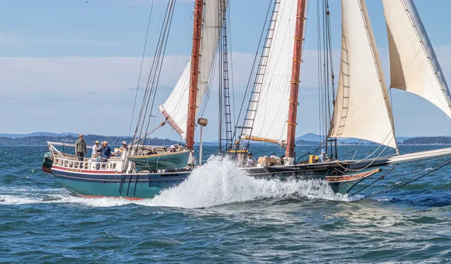 Windjammer Angelique