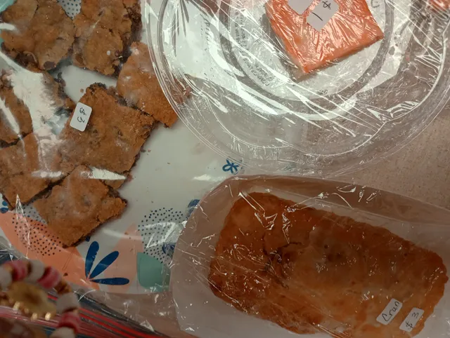 Fridley Alano Society