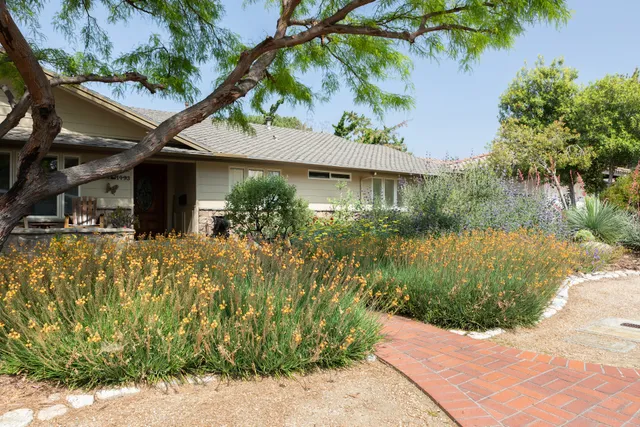 Natural Earth Sustainable Landscape & Design