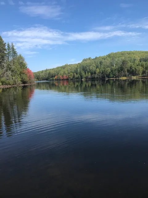 Four Seasons Algonquin Cabins